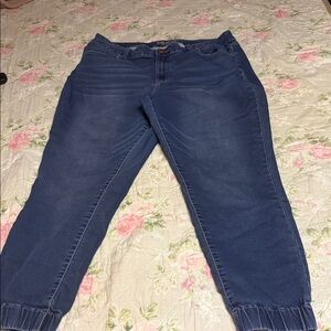 Maurices Dark Blue Ankle Jeans